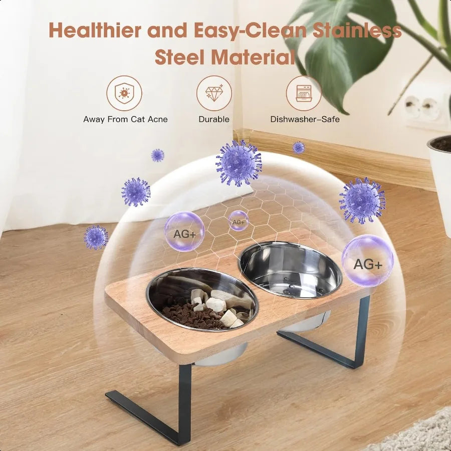 Elevated Cat Bowls With Stand And Stainless Steel Bowls
