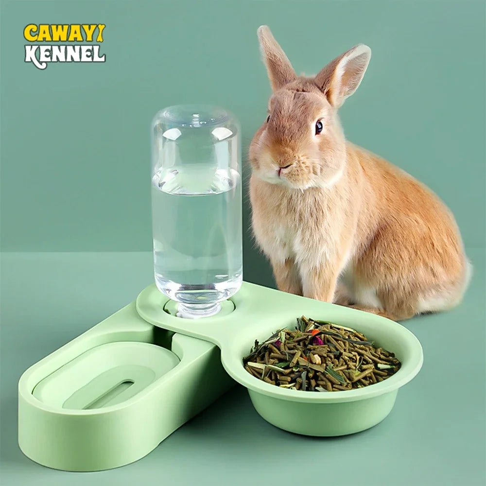 Pet Rabbit Food Bowl Auto Feeder Drinking Fountain Raised