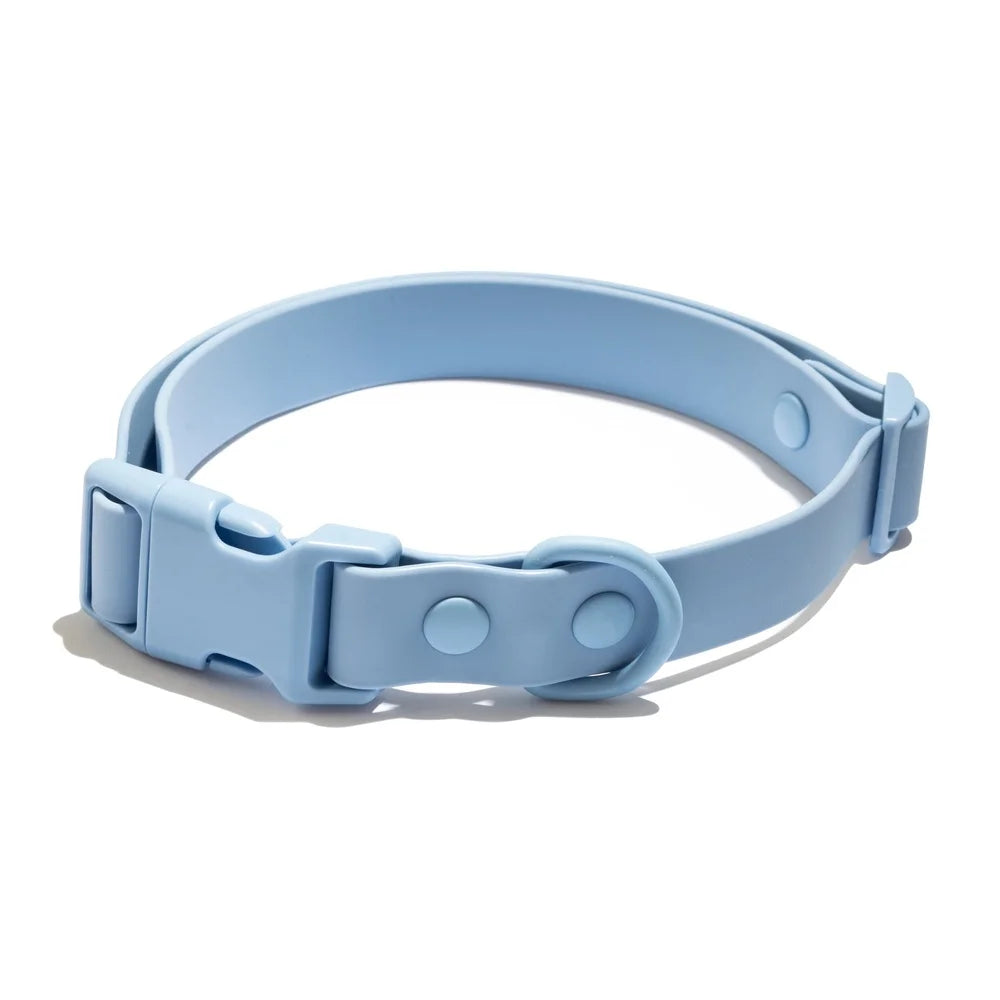 Water Odor Resistant Adjustable Dog Collar For Small Breeds