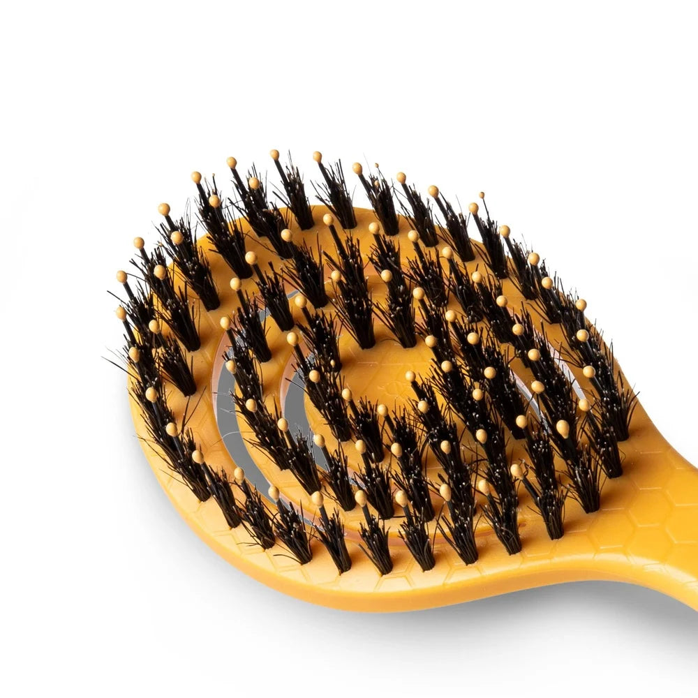 Porcupine Bristle Brush For Small Dogs Ergonomic Design