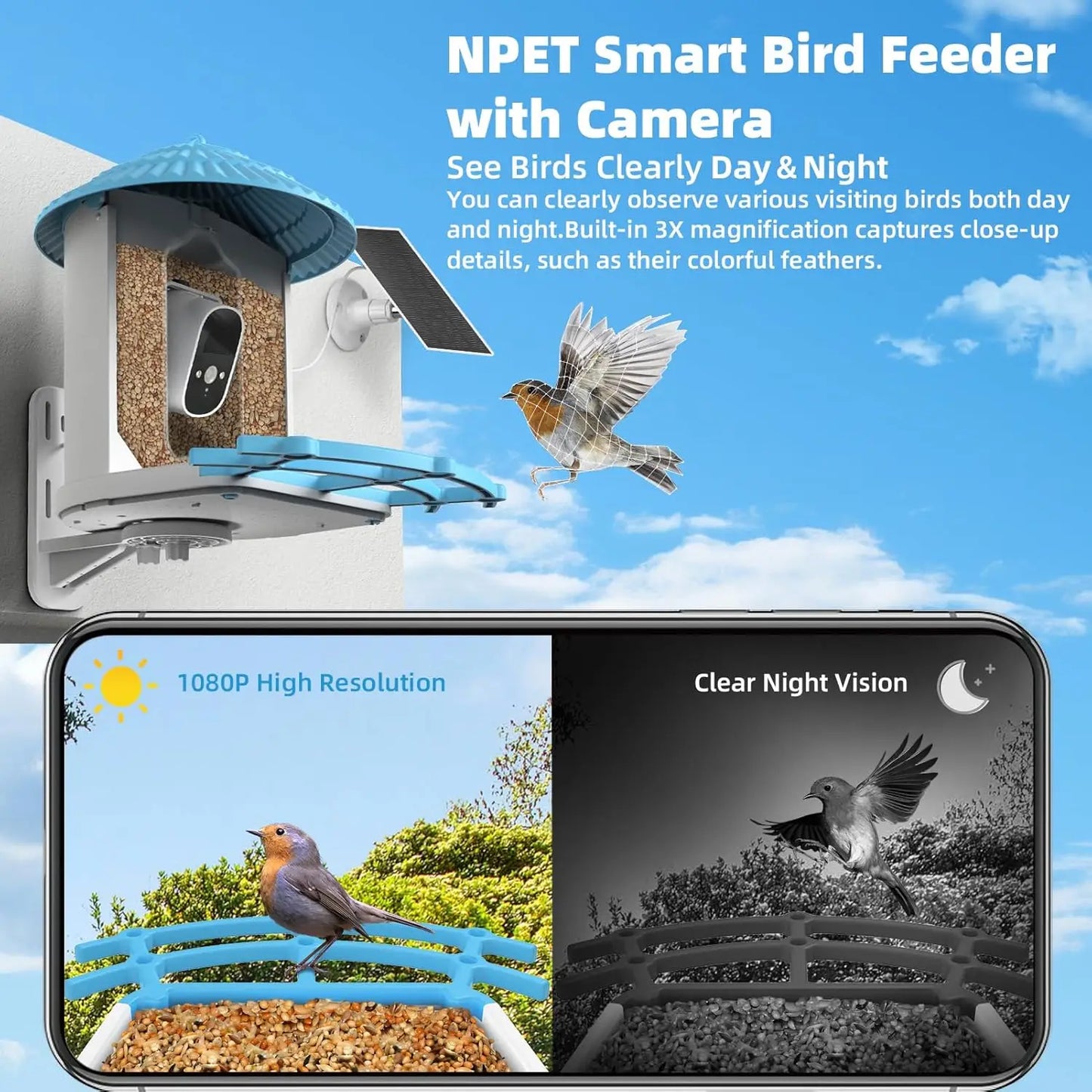 NPET Bird Feeder With Camera Solar Powered Night Vision 4MP