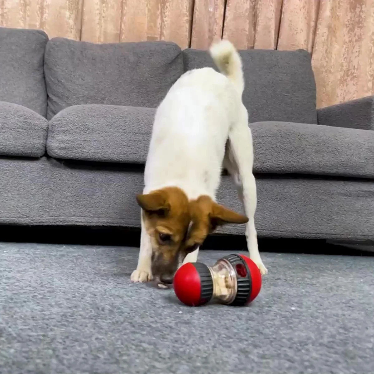 Interactive Dog Toy Slow Feeder Ball For Small Medium Dogs