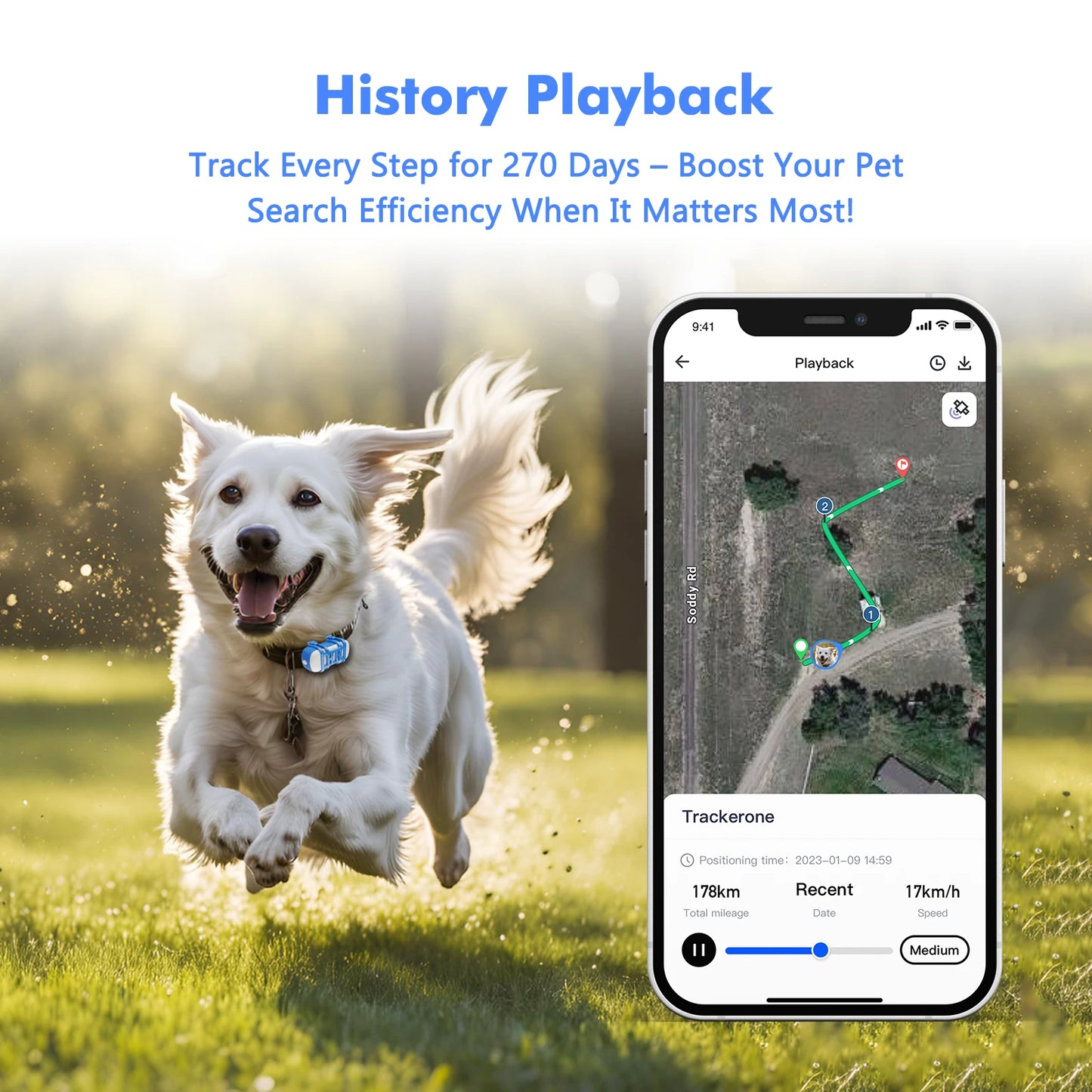 4G Pet GPS Tracker Waterproof Locator With Live Tracking