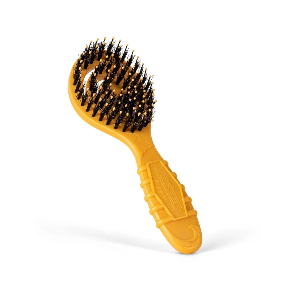 Porcupine Bristle Brush For Small Dogs Ergonomic Design