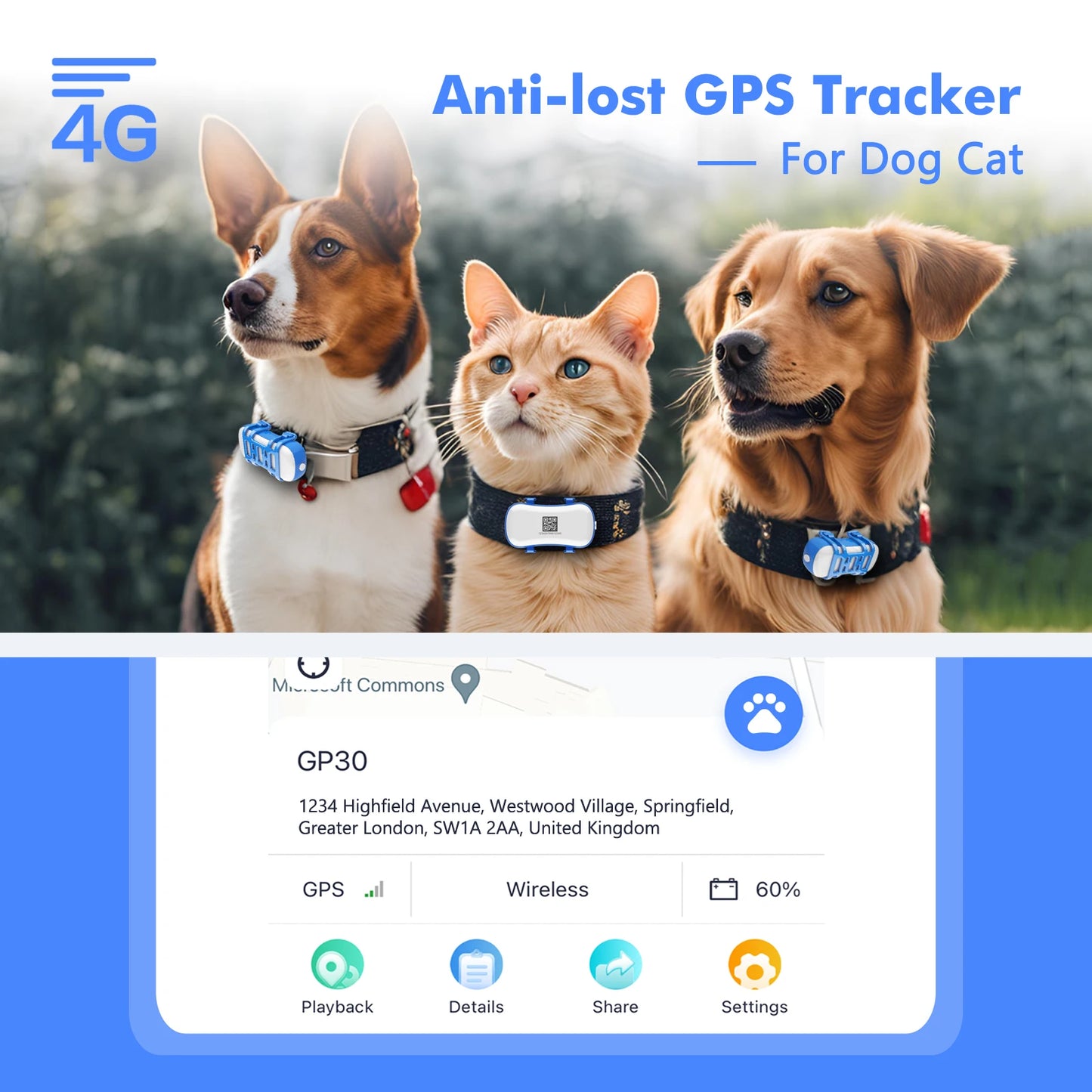 4G Pet GPS Tracker Waterproof Locator With Live Tracking