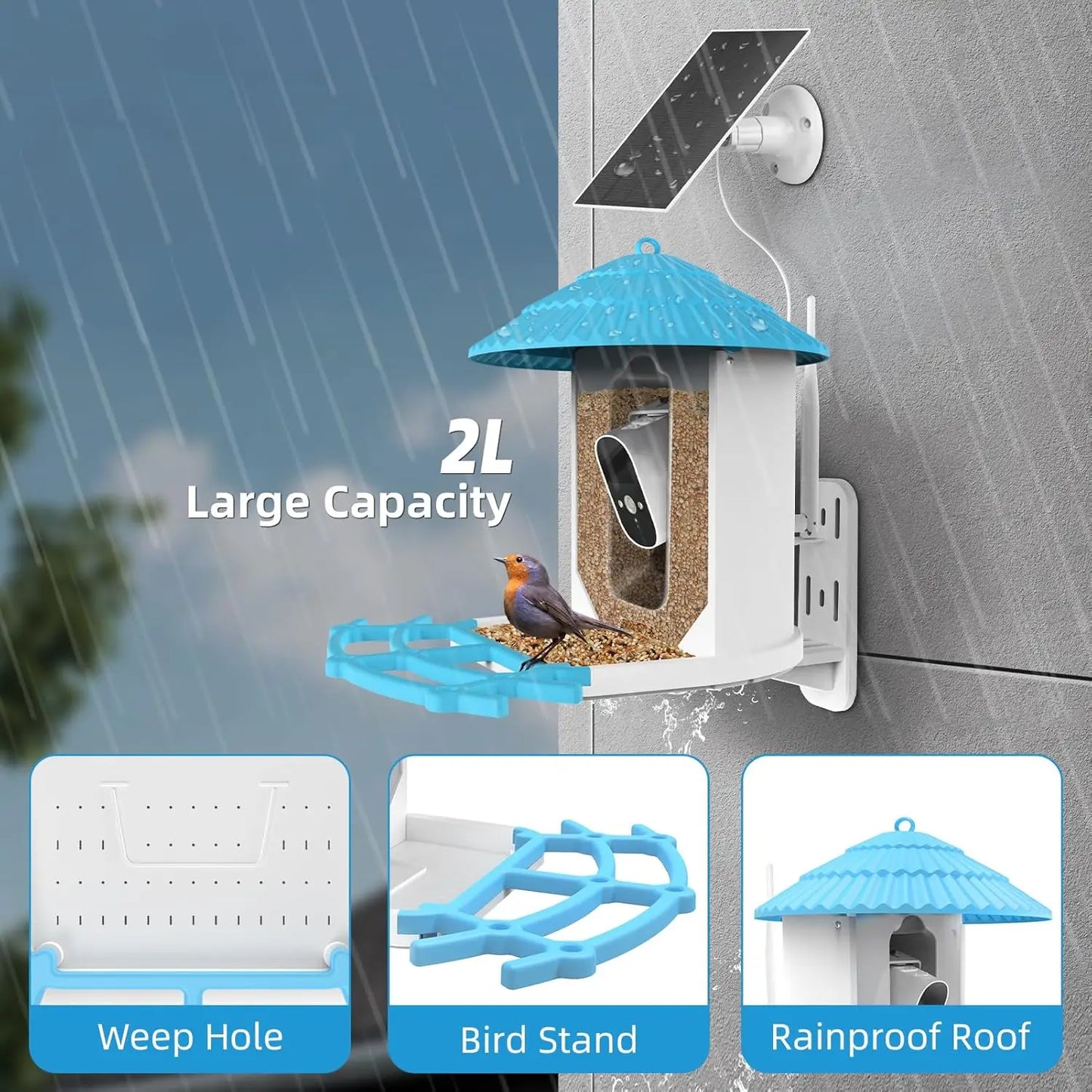 NPET Bird Feeder With Camera Solar Powered Night Vision 4MP