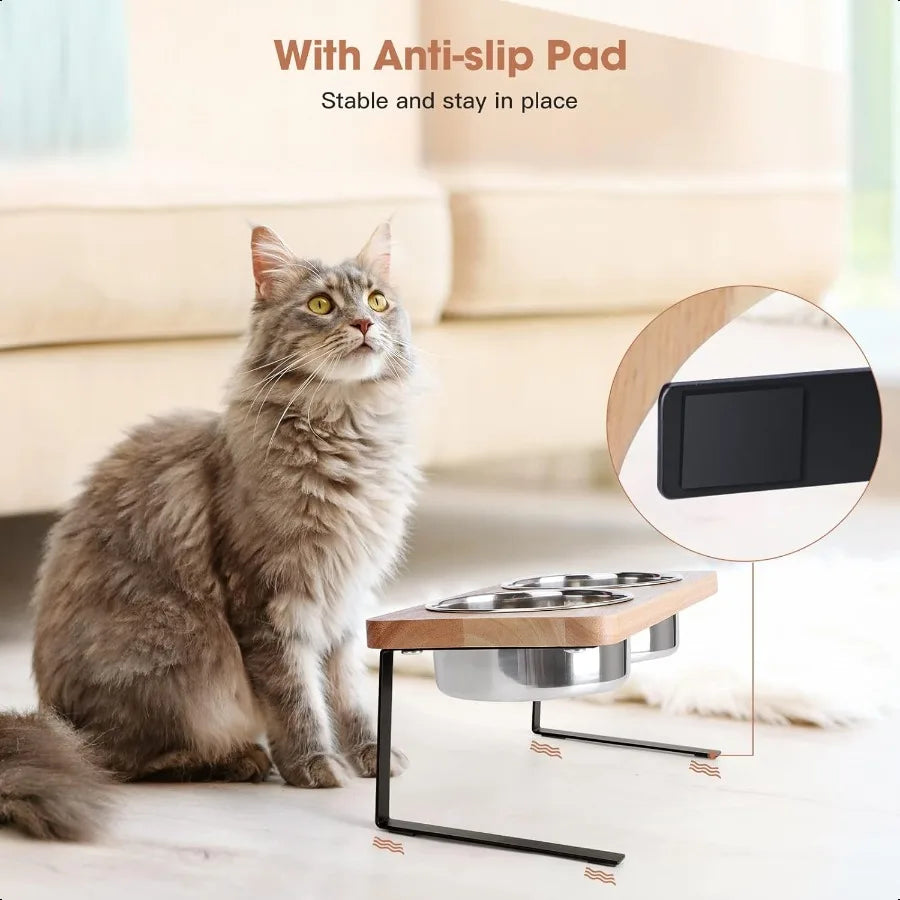 Elevated Cat Bowls With Stand And Stainless Steel Bowls
