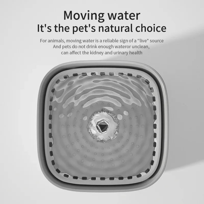 3L Cat Water Fountain Auto Recirculate Large USB Dispenser