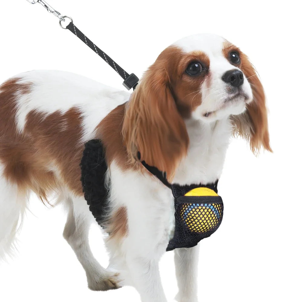 Non Pulling Dog Harness Reflective Nylon Mesh Storage Pouch