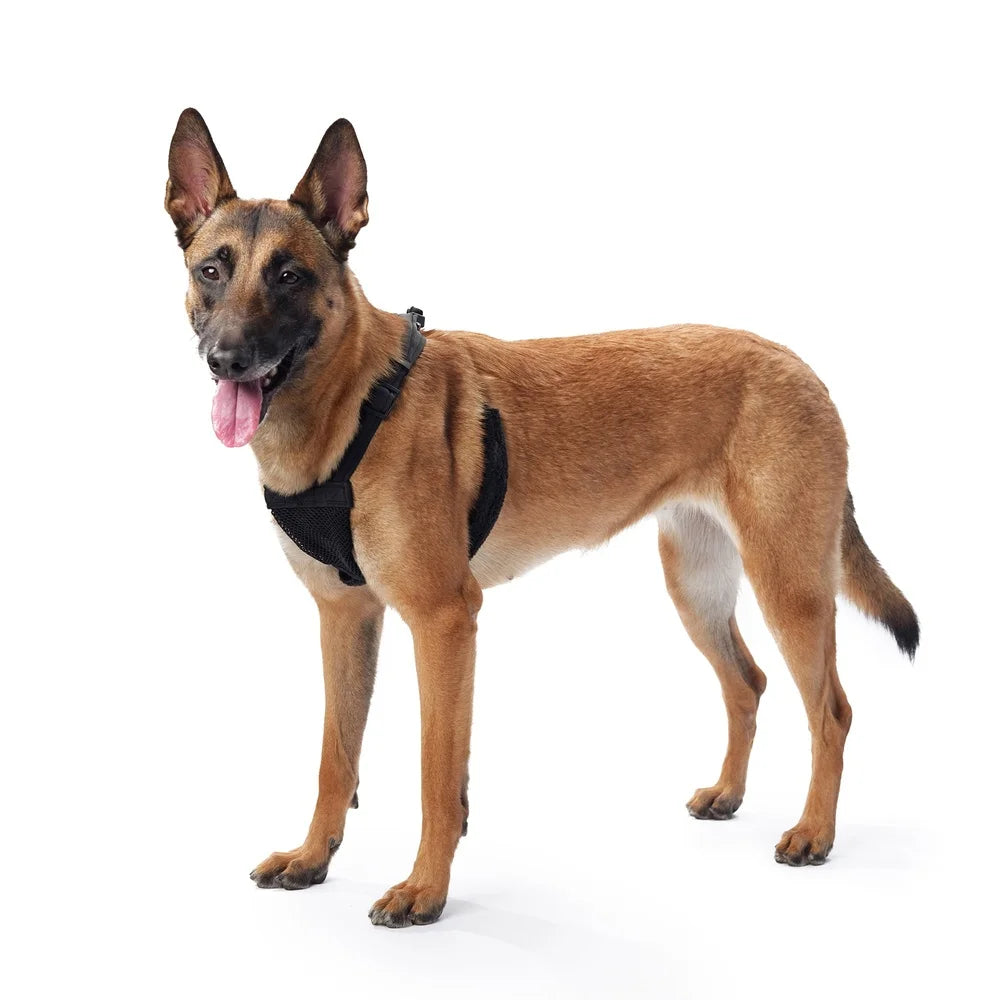 Non Pulling Dog Harness With Storage Pouch Reflective