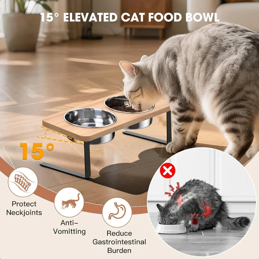 Elevated Cat Bowls With Stand And Stainless Steel Bowls