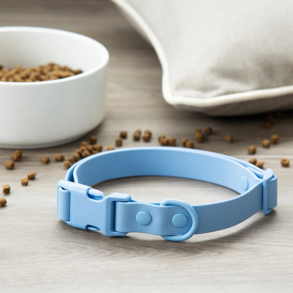 Water Odor Resistant Adjustable Dog Collar For Small Breeds