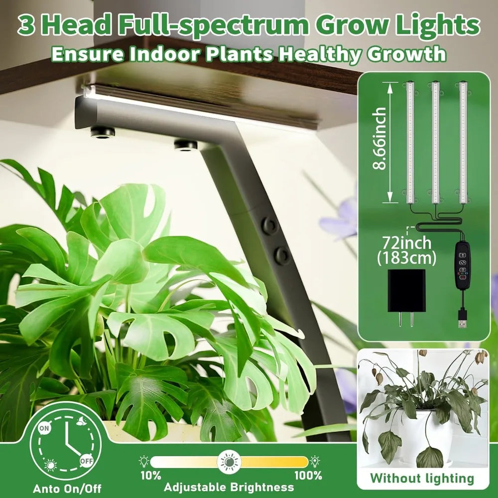 Indoor Corner Plant Stand With Grow Lights 5-Tier S Shape