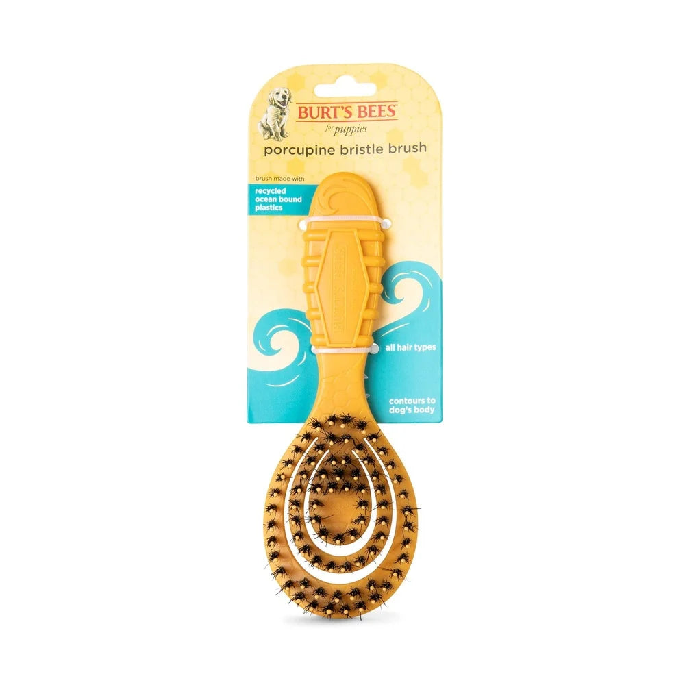 Porcupine Bristle Brush For Small Dogs Ergonomic Design