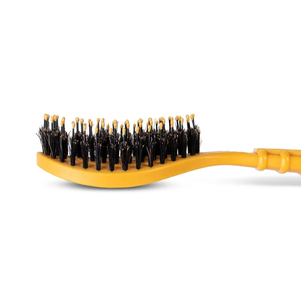 Porcupine Bristle Brush For Small Dogs Ergonomic Design