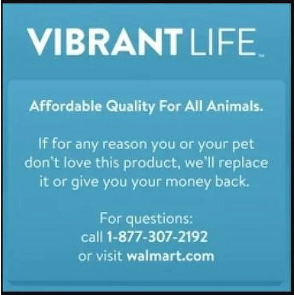 Water Odor Resistant Adjustable Dog Collar For Small Breeds