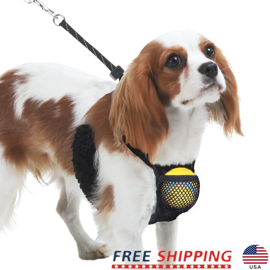 Non Pulling Dog Harness Reflective Nylon Mesh Storage Pouch