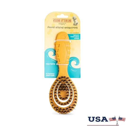 Porcupine Bristle Brush For Small Dogs Ergonomic Design