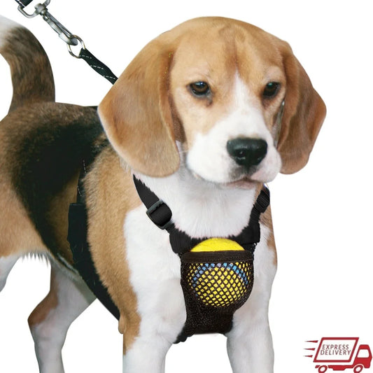 Non Pulling Dog Harness With Storage Pouch Reflective